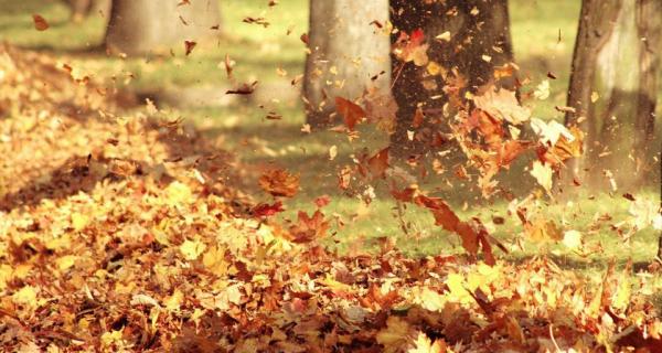 害怕土壤結塊？不用愁，將這些“養花好物”改造下，問題全解決