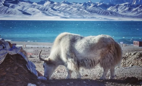 只是走過這10個美麗的地方，愛上旅行，不需要太多的理由