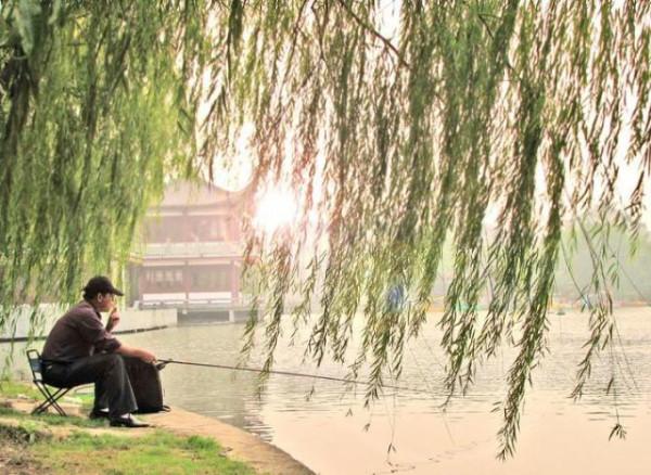 秋天找不到魚？掌握這幾個小技巧，讓你在野釣中找到魚窩爆護