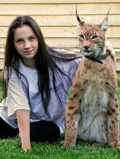 給大家看一下戰鬥民族是怎樣吸貓的？彪悍的貓咪能拉雪橇敢揍熊