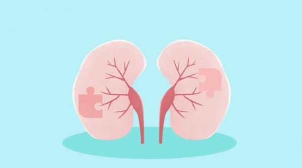 冬季是養腎的黃金期,牢記“四養五練” 冬季是養腎的黃金期,牢記“四養五練”