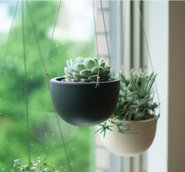 50歲的主婦，收拾出精緻小屋，用滿屋綠植，裝點出詩意棲居