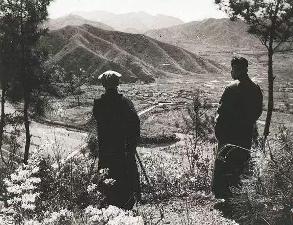 炮擊英國紫石英號軍艦，毛澤東電報指示，“如敢來犯，則打擊之”