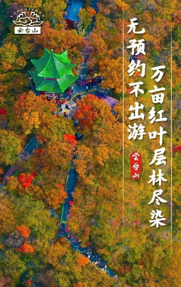 疫情防控安全為首！雲臺山預約出遊賞紅葉