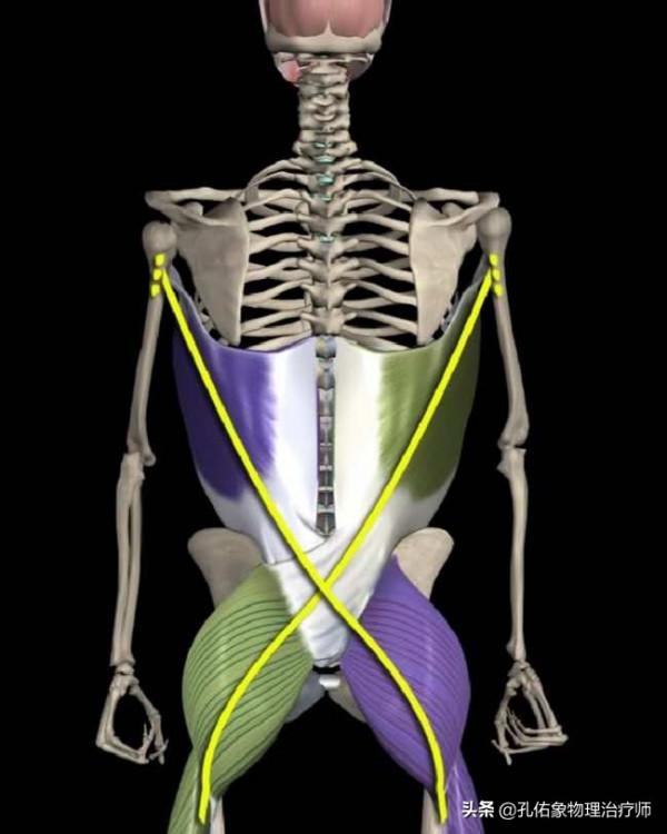 夜間或晨起腰痛，活動後會有緩解，醫生：別被誤導為腰椎間盤突出