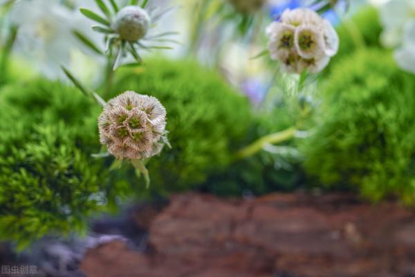 65歲阿姨坦言:老了有固定收入有房住,最好別再找了自由自在多好 65歲阿姨坦言:老了有固定收入有房住,最好別再找了自由自在多好