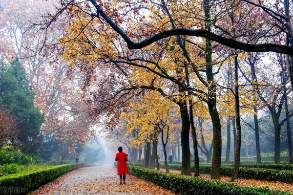 臨卦六五爻辭釋義 臨卦六五爻辭釋義