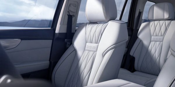 試完GS8 咱們來聊聊安靜 試完GS8 咱們來聊聊安靜