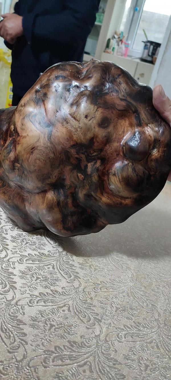 雷擊木樹瘤,請廣大網友給取個名字 雷擊木樹瘤,請廣大網友給取個名字