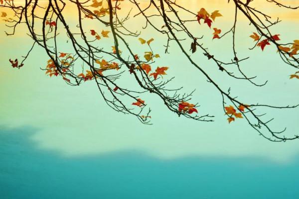 【分享閱讀】10首秋水詩詞，感受不一樣的秋天!