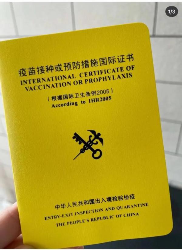 現在出境一定必備疫苗國際證書，怎麼辦理？