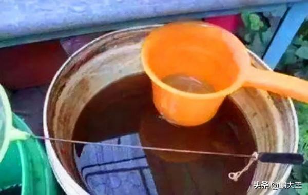 養花換土又髒又麻煩,不如丟下“這2物”,舊土成新土,養啥都行 養花換土又髒又麻煩,不如丟下“這2物”,舊土成新土,養啥都行