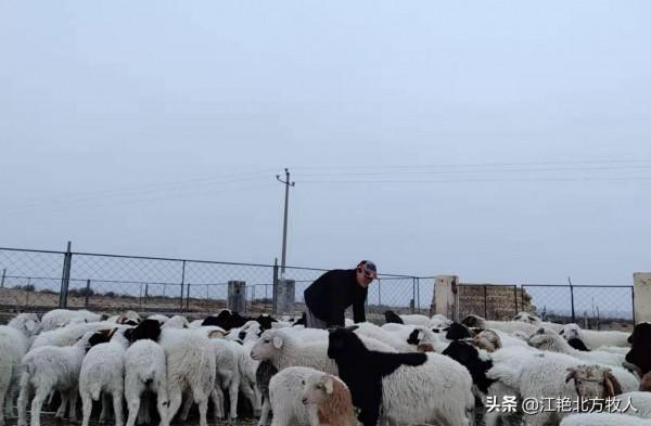 靠養殖到底能不能致富？江豔實話實說，再聽聽她的致富經