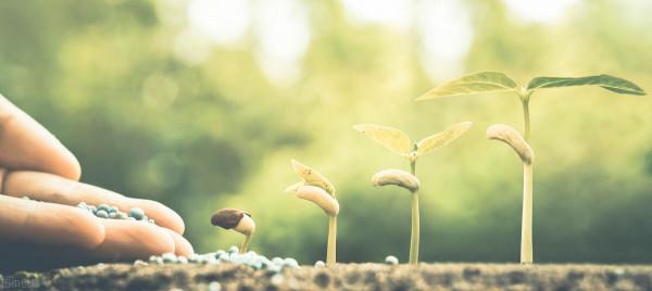 送給你們的話:35歲,我一無所有 送給你們的話:35歲,我一無所有