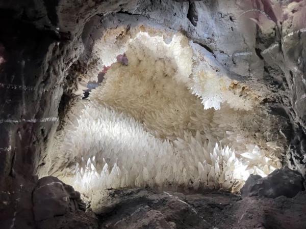 今天,邀請你一起去湖南省地質博物館,看萬物征途 今天,邀請你一起去湖南省地質博物館,看萬物征途