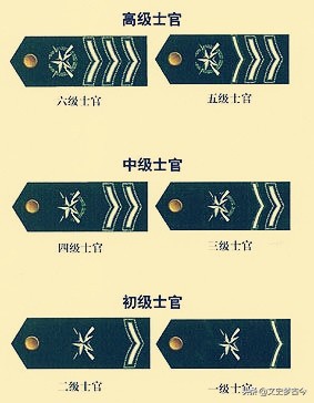 士官軍銜分3等7級，各種&OpenCurlyDoubleQuote;拐&rdquo;該怎麼區分？從《士兵突擊》說開去