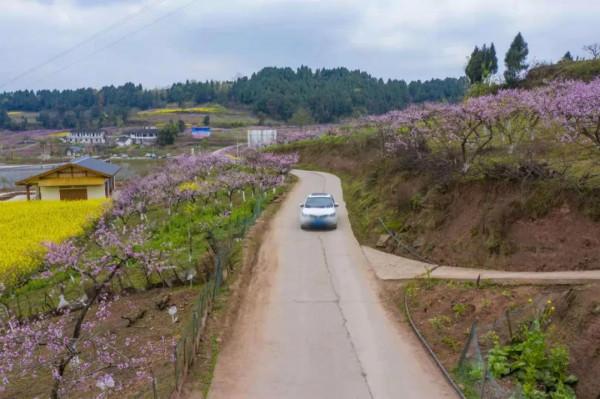 今年賞桃花，千萬別錯過大英&CenterDot;宋井桃源！