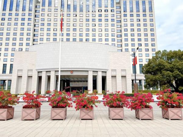 圖說黃浦丨路中隔帶有新意,花卉點綴添靚麗 圖說黃浦丨路中隔帶有新意,花卉點綴添靚麗