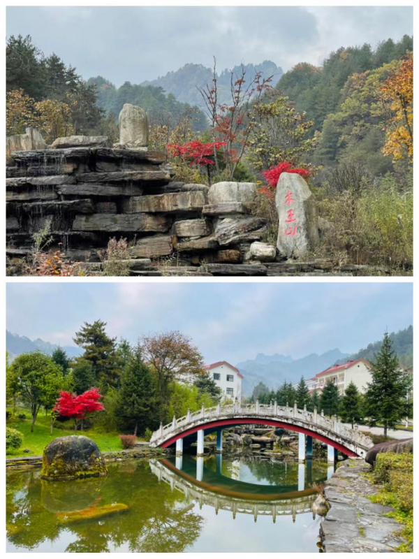 桂子 || 七絕·秦嶺秋意四題