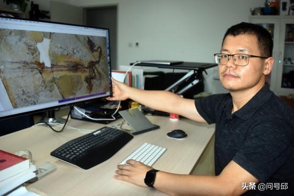 我國新發現：恐龍時代的小鳥，長著華麗細長的尾巴，簡直是累贅