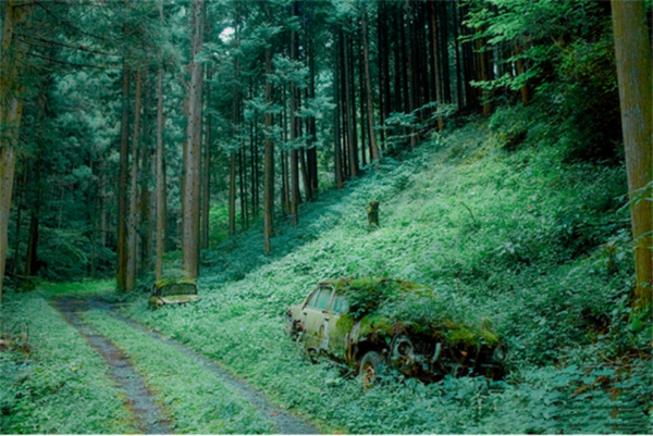 30張時間磨損照,旅行者徒步一年變化驚人,水滴八百年即可穿石 30張時間磨損照,旅行者徒步一年變化驚人,水滴八百年即可穿石
