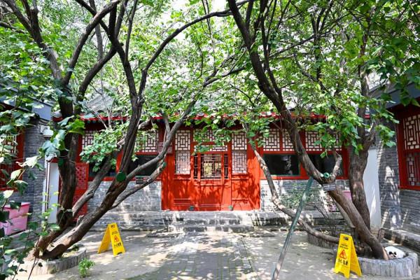 阜城門橋東還有這麼好的小公園，不錯不錯