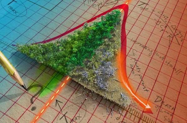 他是最年輕新晉院士，算出中國碳家底，從此國際談判我們有了底氣