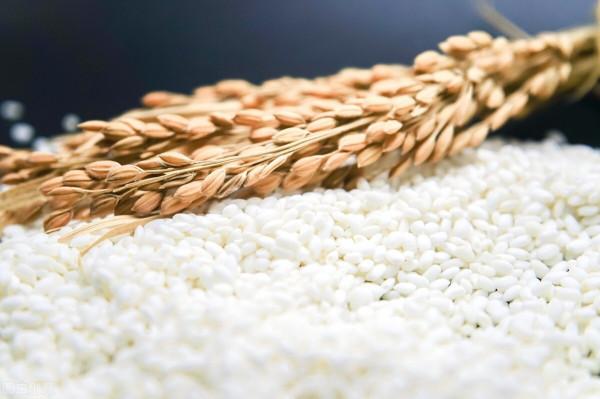 除了做元宵，甲狀腺結節人群這樣吃糯米可以健脾養胃，強身健體