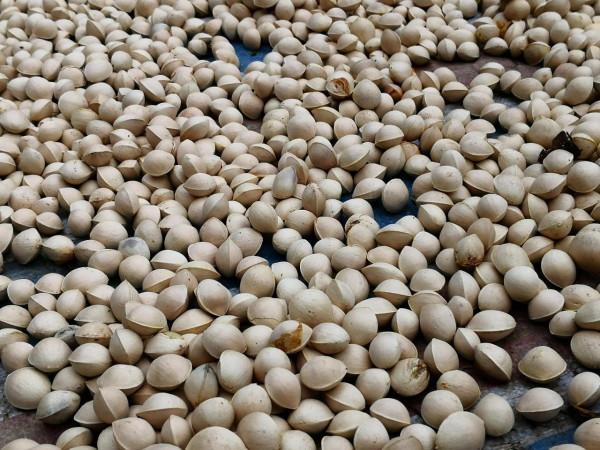 地球上沒被遺忘的角落 地球上沒被遺忘的角落