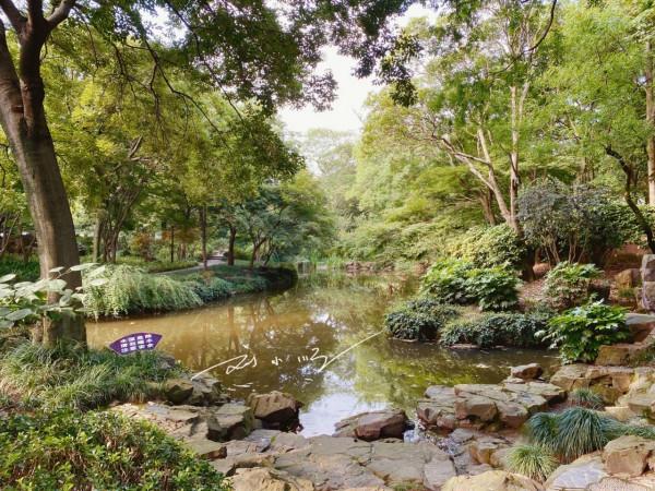 上海市嘉定區有一座著名的“江南園林”，門票很便宜，遊客卻不多