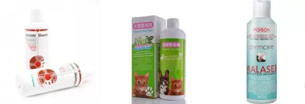 隨“浴”而安——藥浴香波，你選對了嗎？