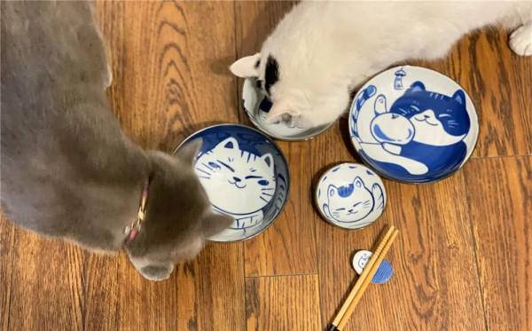 萬萬沒想到，我竟然被一套陶瓷餐具萌化了