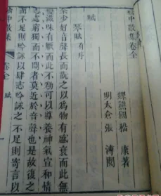 ​音樂漫談62 | 魏晉和南北朝——美學思想的變遷、清商樂以及琴曲