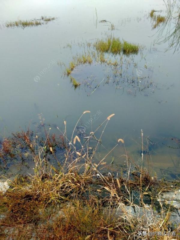 冬季出釣時，什麼天氣和什麼風向最容易出魚？淺談個人觀點
