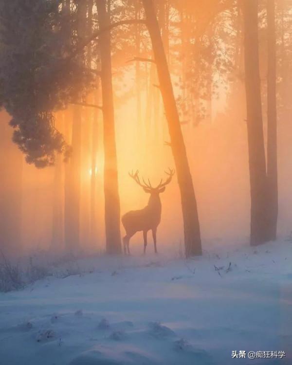 17個猶如來到外星球的真實場景，最後那個就是真實的賽博朋克？