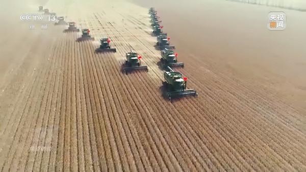 焦點訪談丨農業：走上高質量發展之路