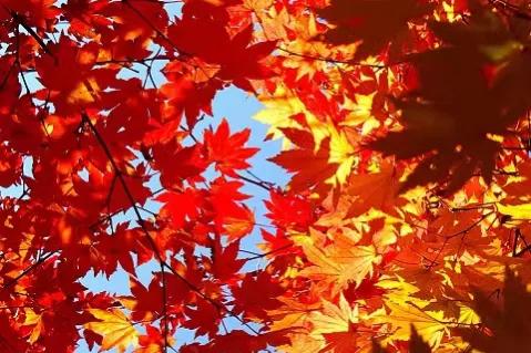 年少不知父母恩,半生糊塗半生人 年少不知父母恩,半生糊塗半生人