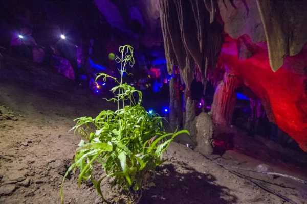 冬天換個姿勢取暖！探秘迷離夢幻的地下世界，溫暖宜人