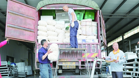 江蘇大叔三年虧損一千多萬，逆風翻盤種植杏鮑菇，一年賣2億元