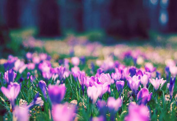 《論語》：守住人生的根本，立足於紛繁的社會