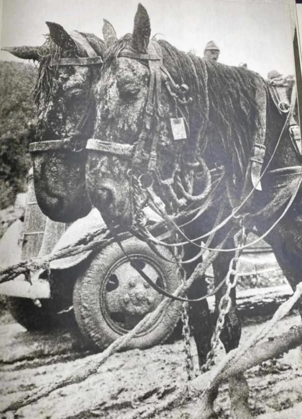 斯大林說：裝備中國一個師只需要150萬元