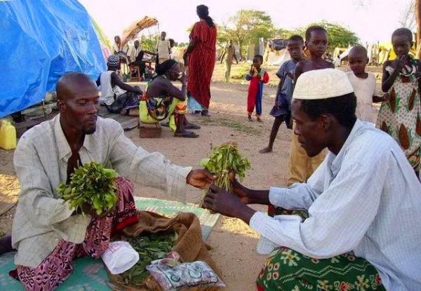 葉門:一個正在“嚼死”自己的國家,正在被世界所遺忘 葉門:一個正在“嚼死”自己的國家,正在被世界所遺忘