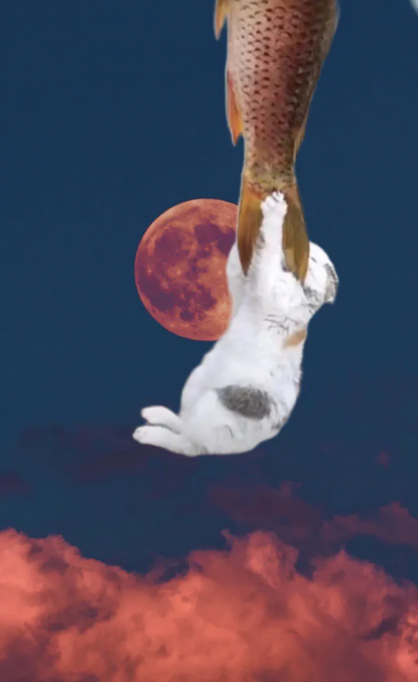 嫦貓奔月的故事