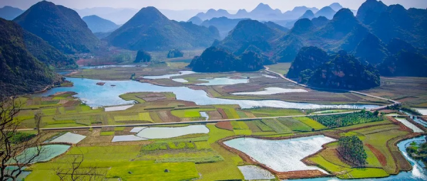 遇事最重要的5種能力