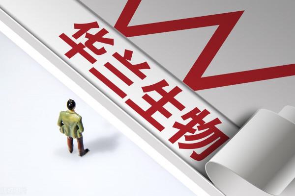 高瓴資本持股的10大潛力龍頭股技術面專業分析