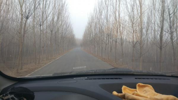 節後首釣喜獲大板鯽，高興之餘有點遺憾