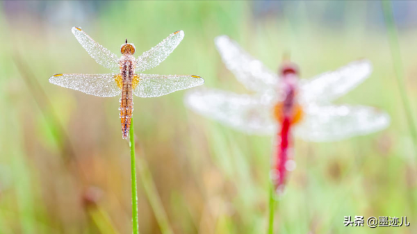 從那以後,母親就很少回來了 從那以後,母親就很少回來了