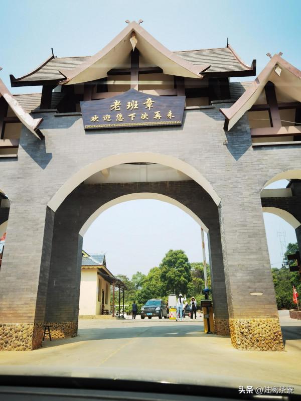 五千億倉儲，七千萬炒作！揭秘普洱茶界最有潛力的頂級賽道