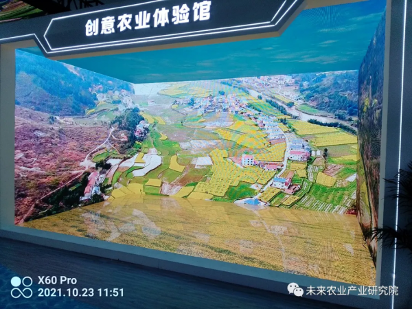 農高會系列報道四 農業也時尚 農高會系列報道四 農業也時尚