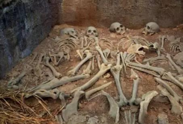 陪葬186人的秦公墓:專家耗費10年才找到主棺,開啟後心痛不已 陪葬186人的秦公墓:專家耗費10年才找到主棺,開啟後心痛不已